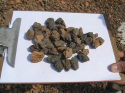 Large Stone Bark